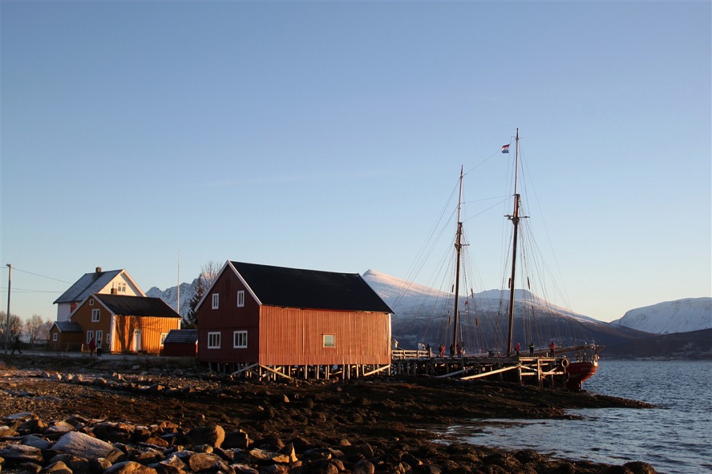 Le Noorderlicht dans la région de Tromso - ©Anaëlle Salmon