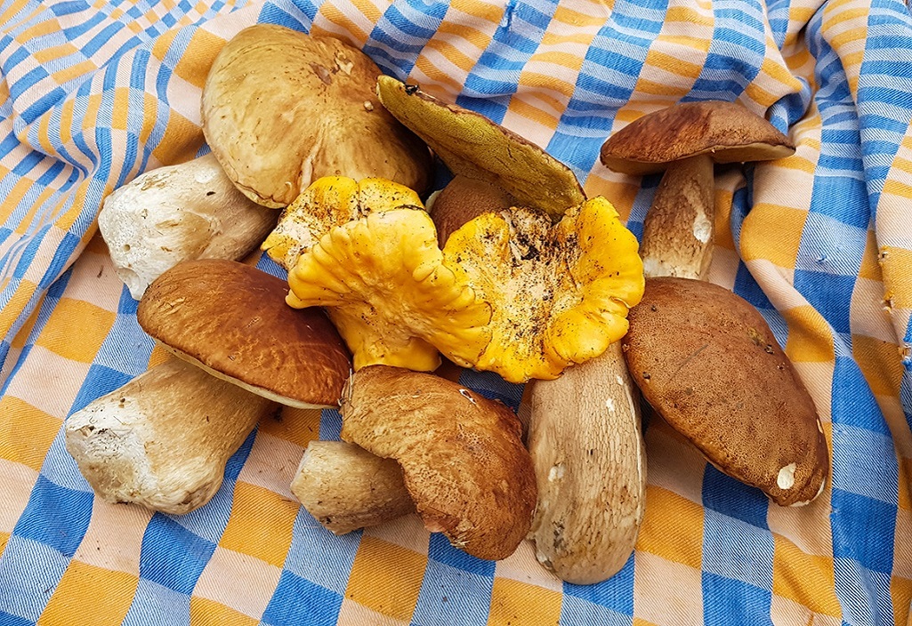 Un séjour riche en découvertes culinaires - ©Guilhem VABRE