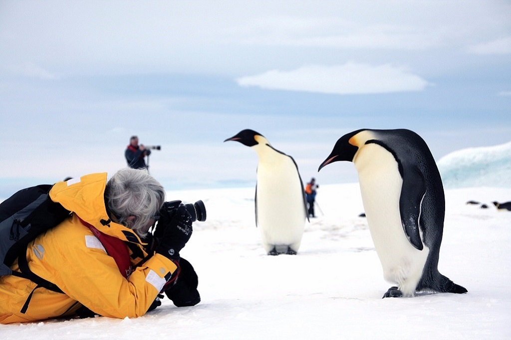 Rencontres inoubliables, pleines de curiosité - ©Quark Expeditions