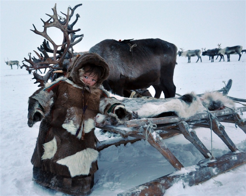 Éleveurs de rennes Nenets - Yamal  - ©Benjamin Delforge 