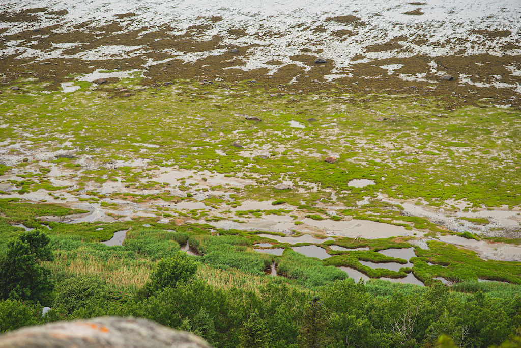 Société d'écologie de la batture du Kamouraska - ©Julie Houde-Audet