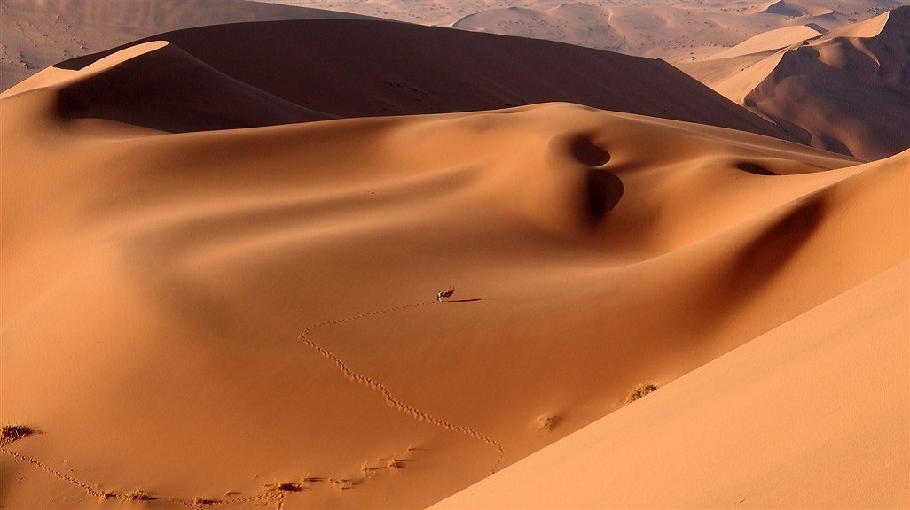 Sossusvlei et Dead Vlei, désert du Namib