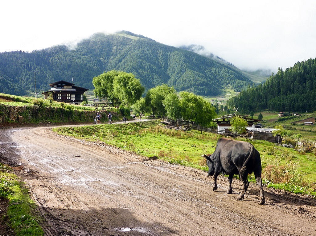 Vallée de Phobjika - ©Thomas Callens