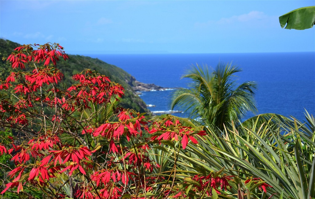 10 bonnes raisons de partir dans les Caraïbes ! 