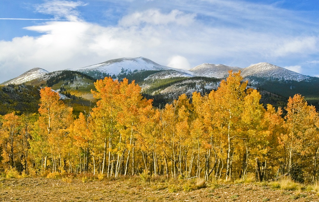 Colorado Trail #1 : de Denver au nord de Salida