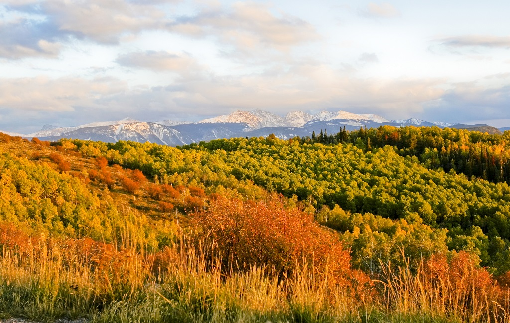 Colorado Trail #2 : les cimes de Leadville