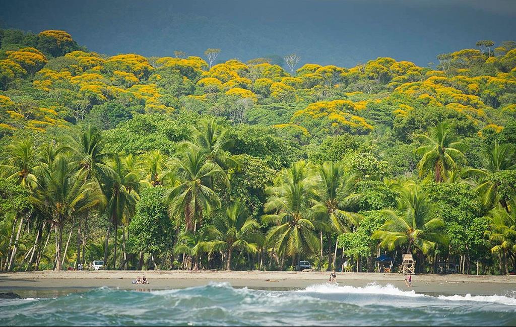 Costa Rica : Osa, le grand bain de nature