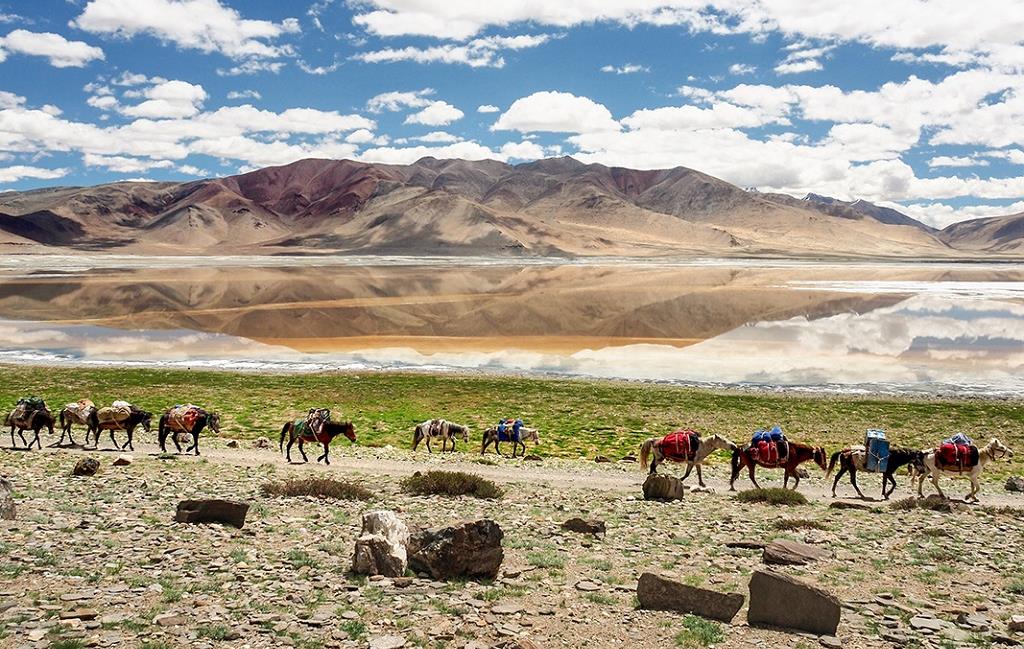 [Terdav & 20Qs] Inde, région du Ladakh