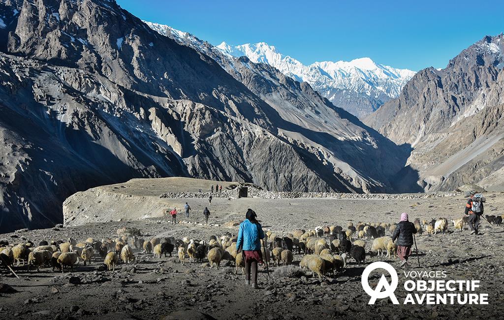 Transhumance avec les bergers de Shimshal. Interview croisée.