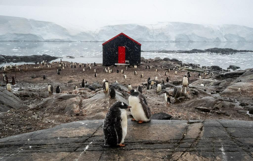 Incursion extraordinaire en Antarctique