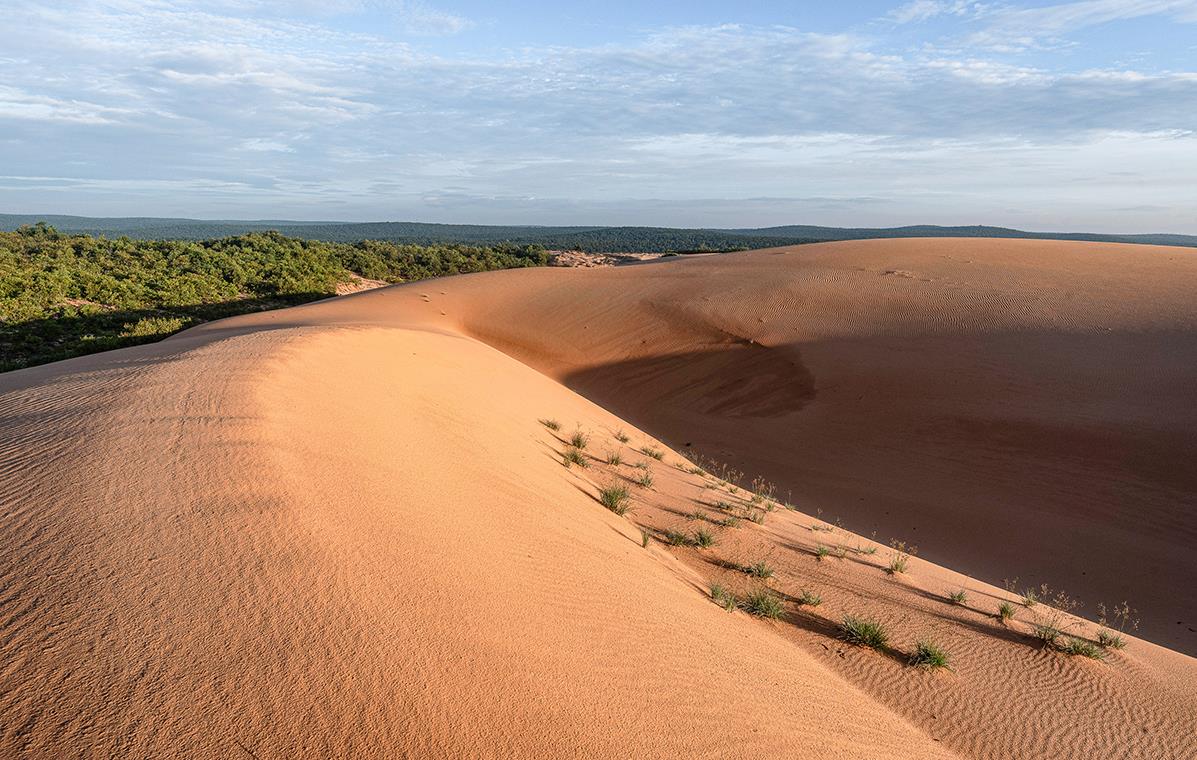 Exploration du Panduranga, le royaume disparu