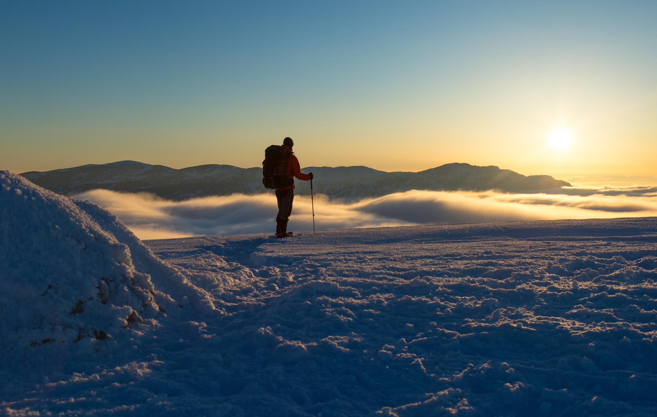 Déconnexion hivernale au pays des loups 