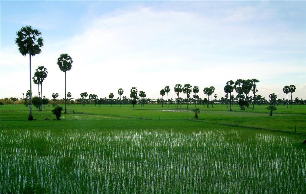 Les 10 plus beaux paysages du Cambodge