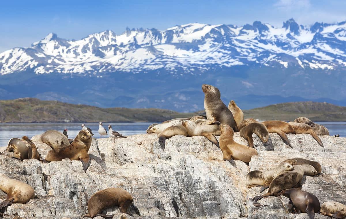 Les plus beaux paysages et parcs de la Patagonie
