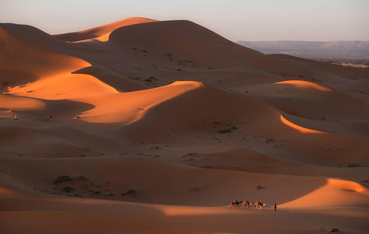 Les plus beaux déserts du monde à visiter