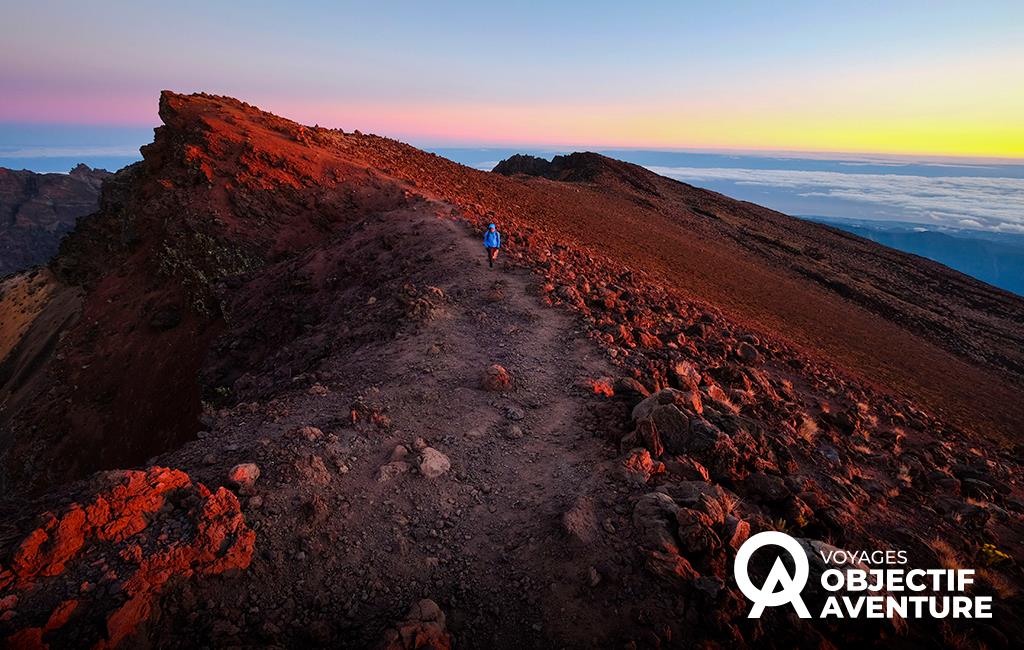 Objectif Diagonale des Fous avec Pascal Blanc