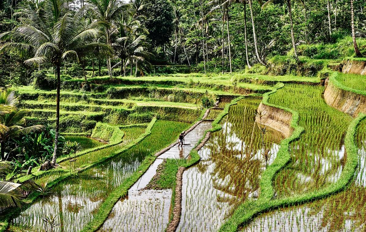 Les plus beaux paysages de Bali