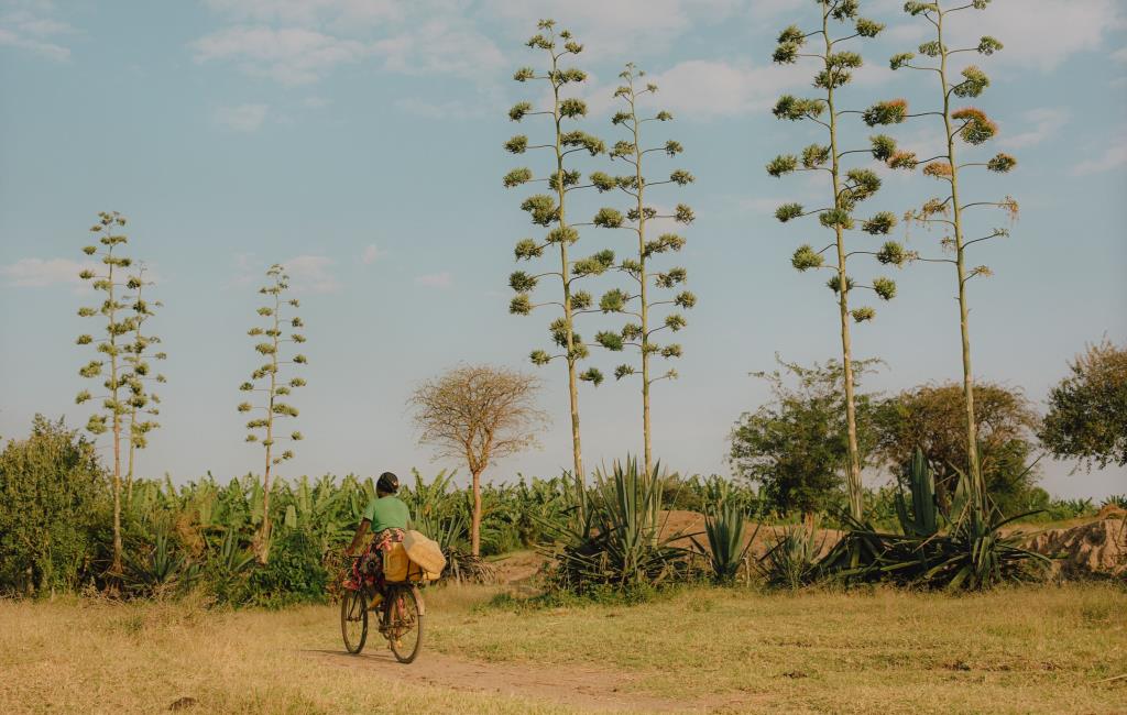 Rwanda : Au pays des mille collines - © Pie Aerts  Rwanda : Au pays des mille collines