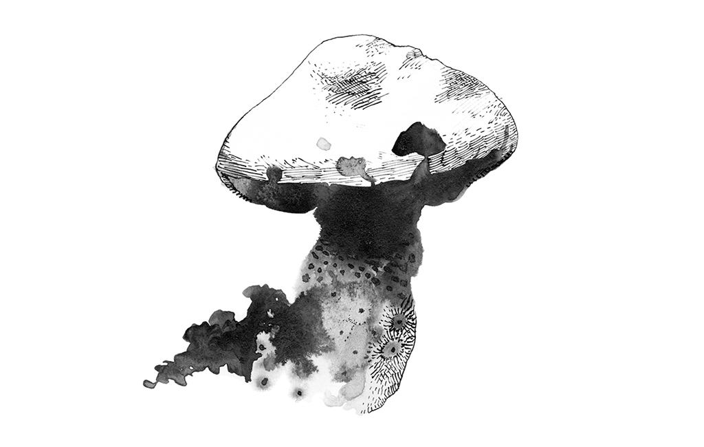Fungi-vore - © Loup Vannière Fungi-vore
