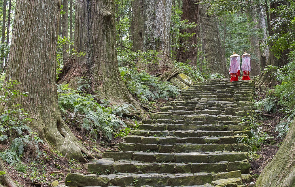 Japon : à l'ombre des grands cèdres