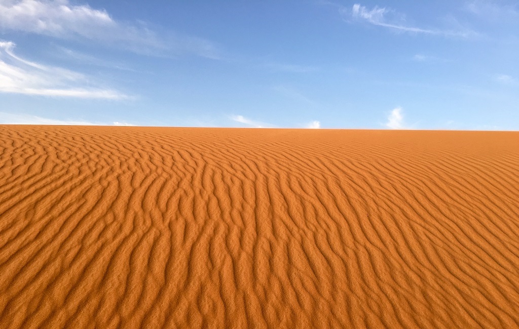 Maroc : de l'or dans le désert