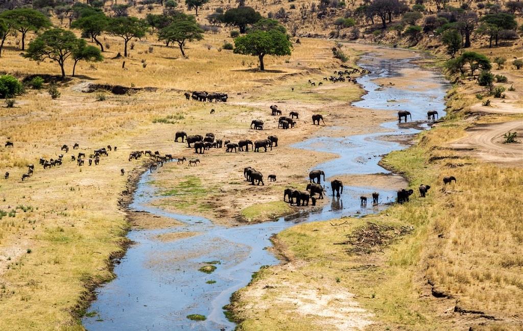 Comment réussir son voyage en Tanzanie ?