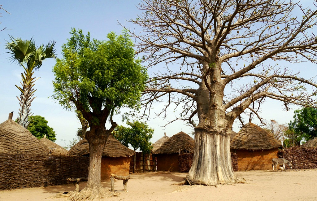 Deux régions à découvrir au Sénégal