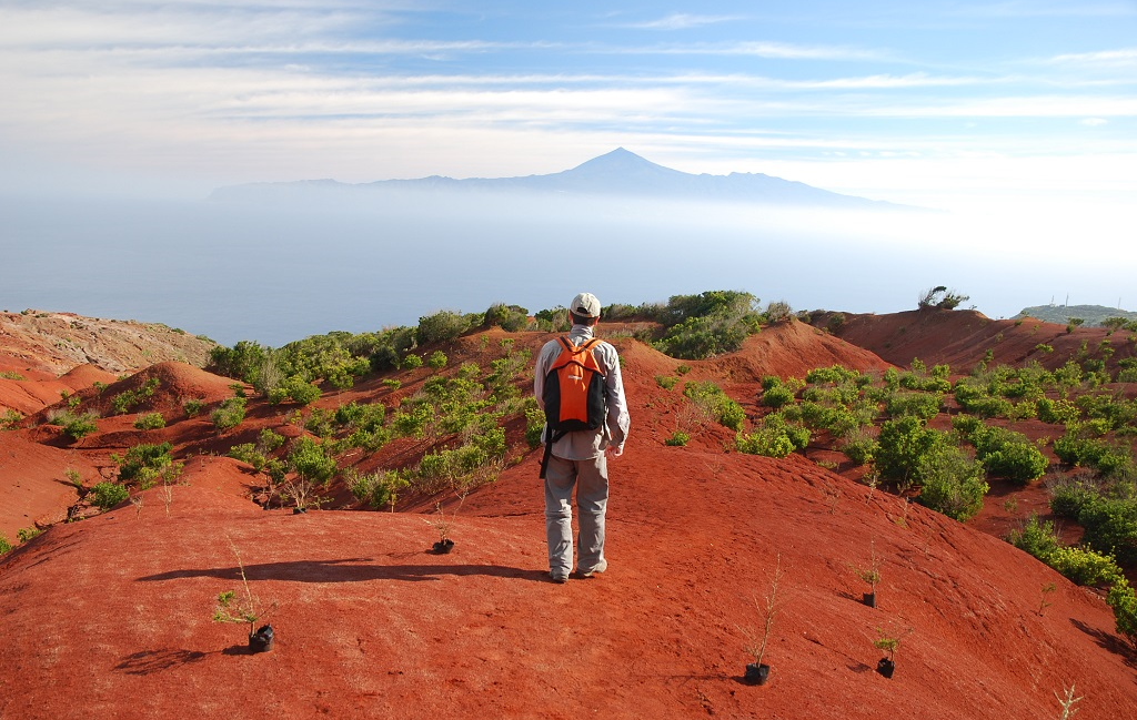 Les Canaries avec des yeux d’enfants