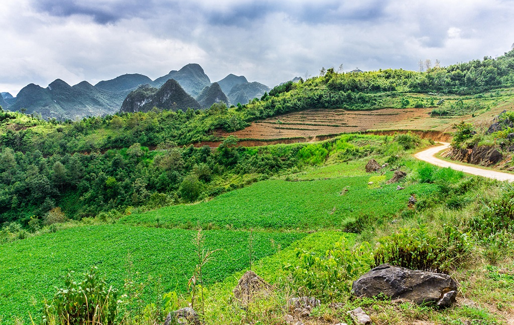 Premiers pas au Vietnam et Cambodge