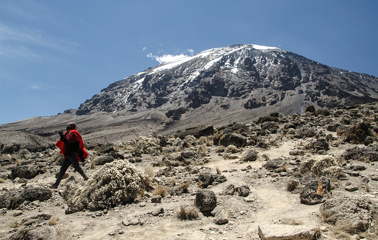 Kilimandjaro : le grand face-à-face