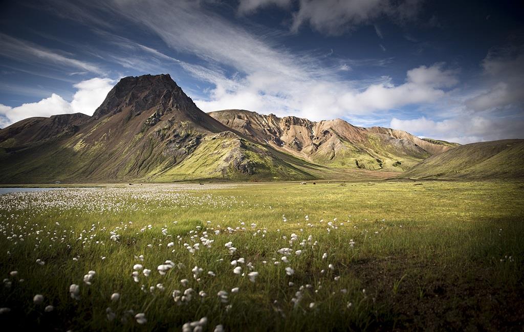 Charte pour un tourisme responsable en Islande