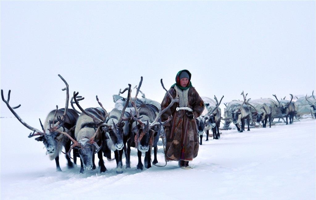 À la rencontre du peuple Nenets