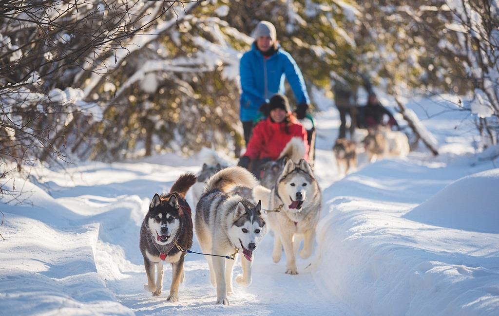 Rencontre avec Gilles, musher au Québec