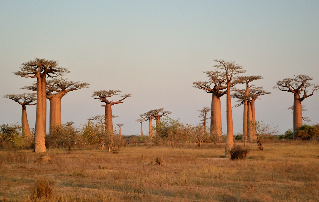 Rencontre avec Philippe, guide à Madagascar