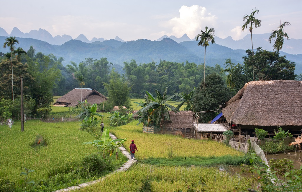 Aux confins du Vietnam : des montagnes et des hommes