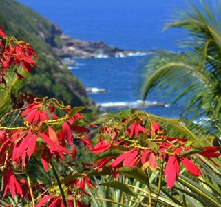 10 bonnes raisons de partir dans les Caraïbes ! 