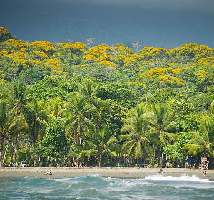 Costa Rica : Osa, le grand bain de nature