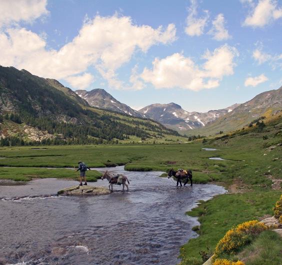 Pyrénées : sur les crêtes du Sud