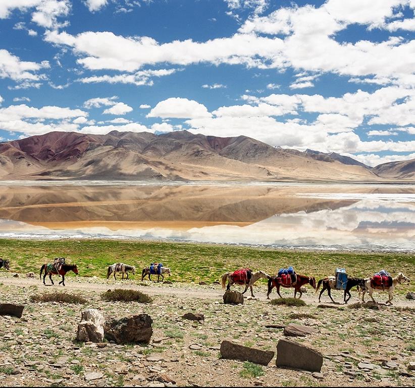 [Terdav & 20Qs] Inde, région du Ladakh