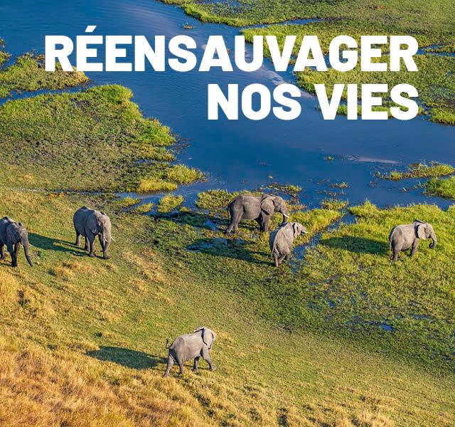 [Podcast] Réensauvager nos vies