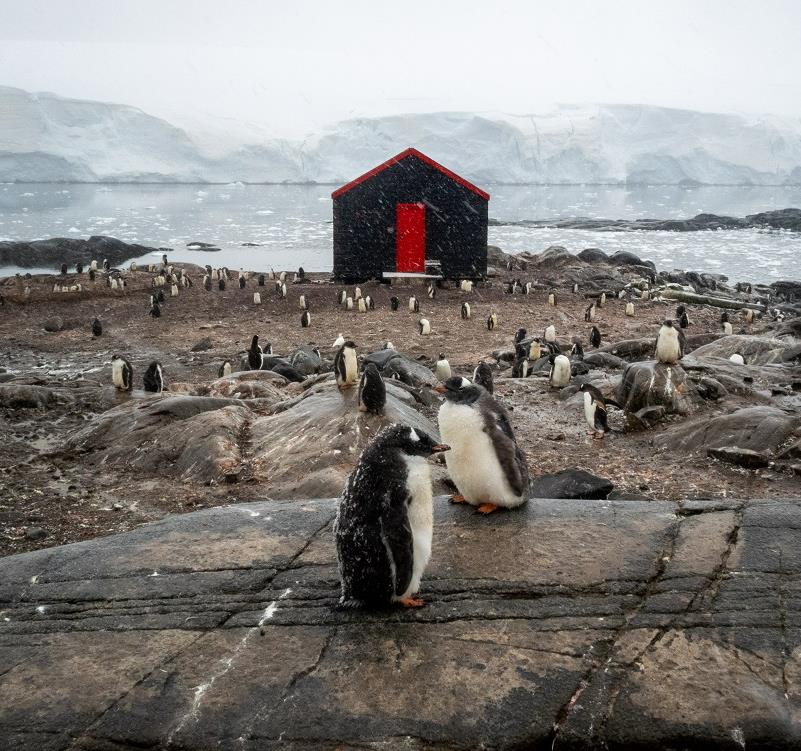 Incursion extraordinaire en Antarctique