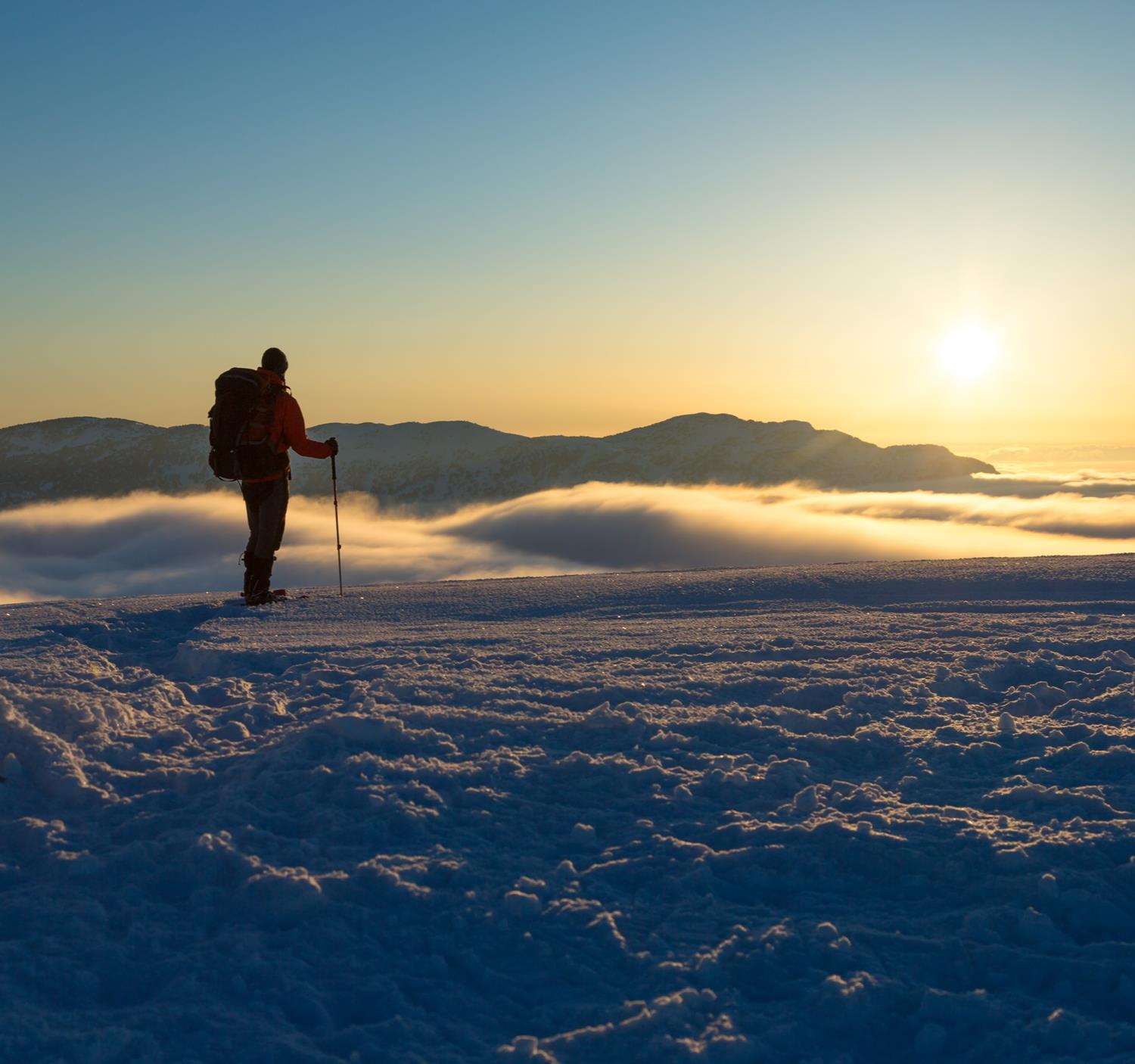 Déconnexion hivernale au pays des loups 