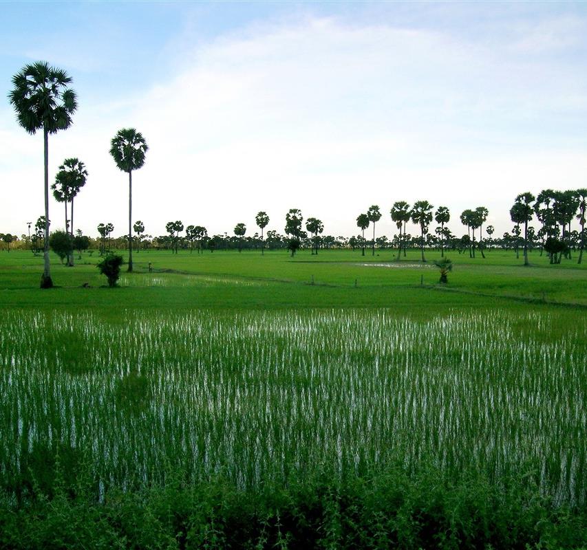 Les 10 plus beaux paysages du Cambodge