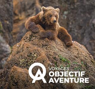 Le paradis caché des ours bruns