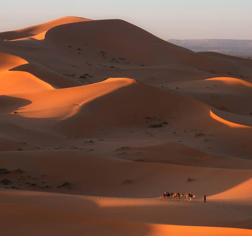 Les plus beaux déserts du monde à visiter