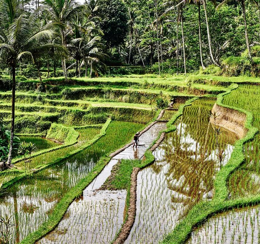 Les plus beaux paysages de Bali