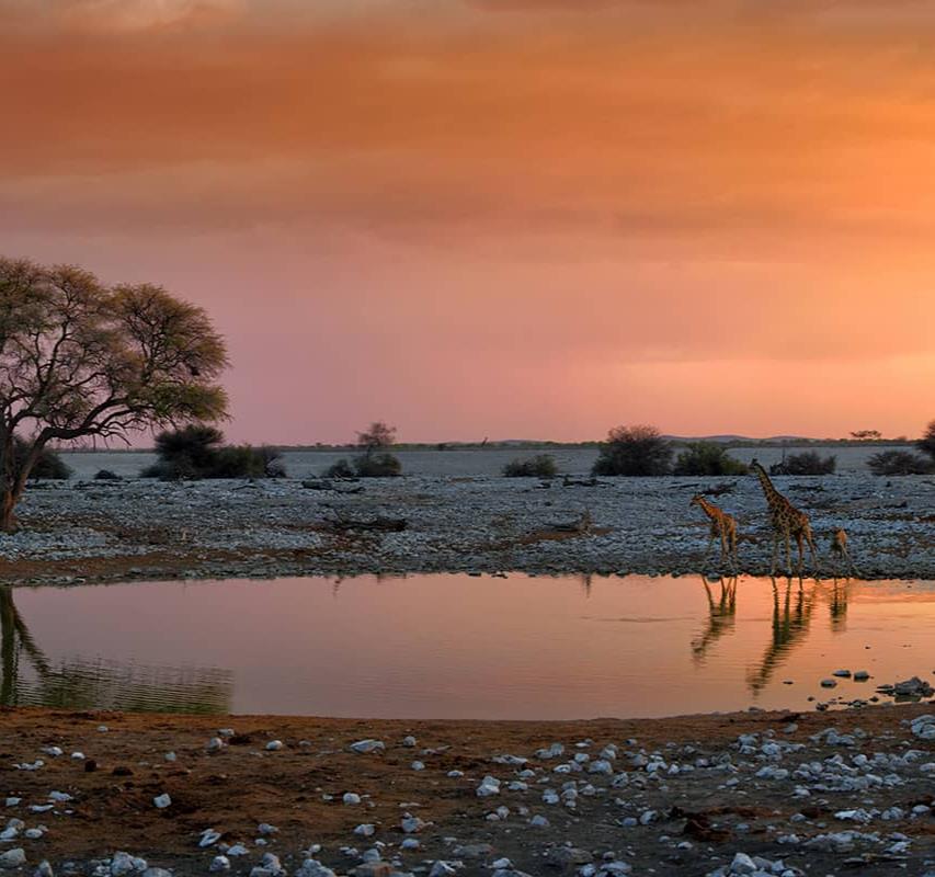 Les plus beaux paysages de la Namibie