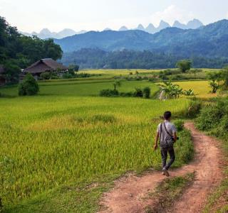 Vietnam : un voyage en mouvement, du Tonkin au delta du Mékong