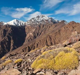 Pourquoi le Maroc est-il devenu la destination trek préférée des français ?
