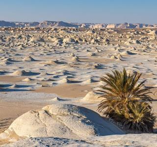 Égypte : Pourquoi Combiner Croisière sur le Nil et Trek dans le Désert ?